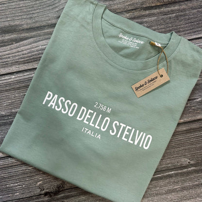 Passo dello Stelvio T-shirt (NEW)