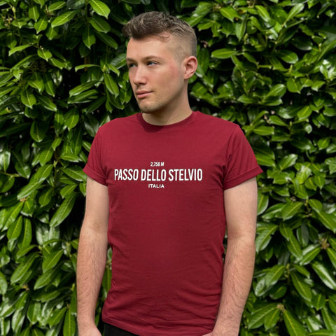 Passo dello Stelvio T-shirt (NEW)