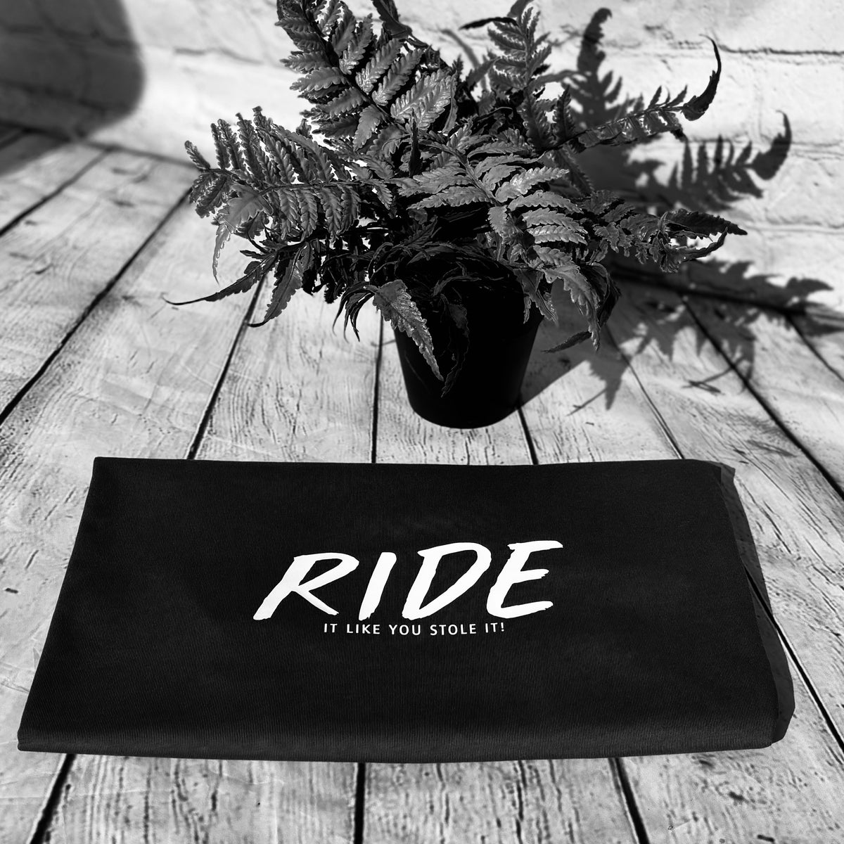 RIDE It Like You Stole It Long sleeve T-Shirt